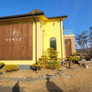 이안에들꽃 리뷰 사진