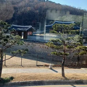 미트테일 리뷰 사진