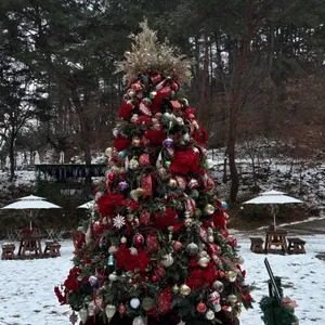 청와살롱 대표 사진