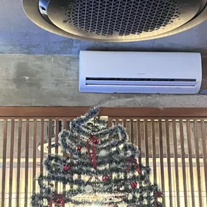 파동 리뷰 사진