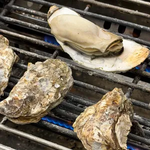 수룡동굴수산 대표 사진