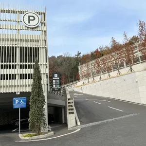 모이핀 리뷰 사진