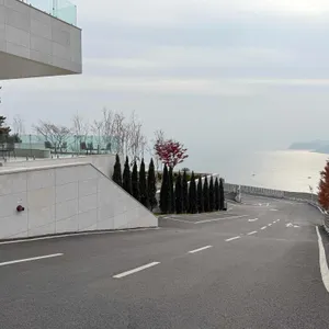 모이핀 리뷰 사진