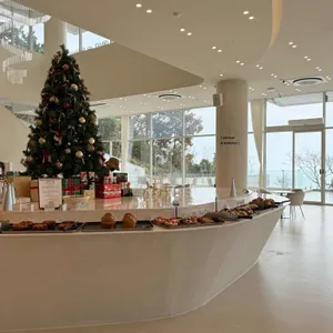 모이핀 리뷰 사진