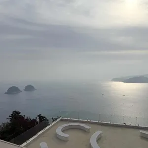 모이핀 리뷰 사진