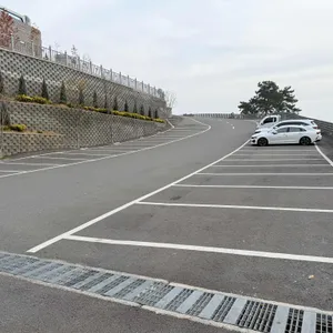 모이핀 리뷰 사진