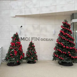 모이핀 리뷰 사진