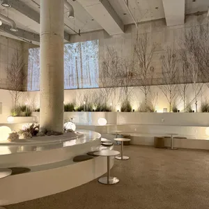 모이핀 리뷰 사진