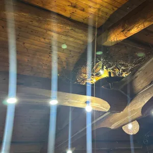 통나무숲 리뷰 사진