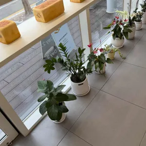 화이트리에 리뷰 사진