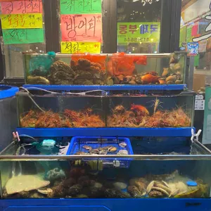 죽변항 리뷰 사진