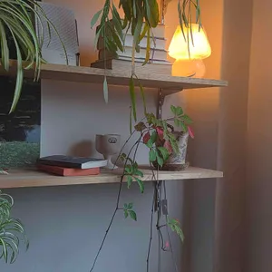 아워아워 리뷰 사진