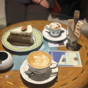 아라비카 대표 사진