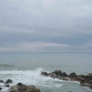 카페 플랫 리뷰 사진