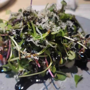 플러그인 리뷰 사진