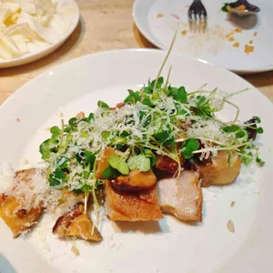 플러그인 리뷰 사진