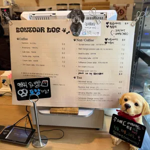 봉쥬르도그 베이크샵 리뷰 사진