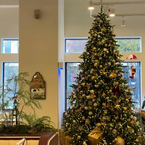 리브베 리뷰 사진