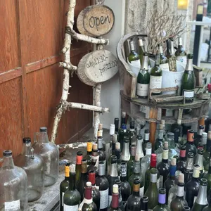 이그조틱 리뷰 사진