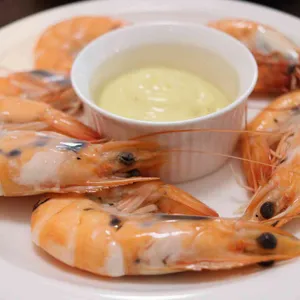 도핀느 대표 사진