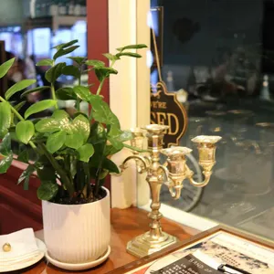 도핀느 리뷰 사진