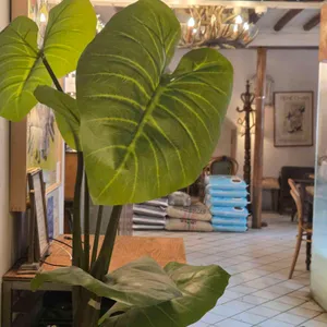 마띠에르 리뷰 사진