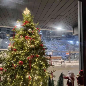 닭나무집 리뷰 사진