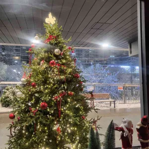 닭나무집 리뷰 사진