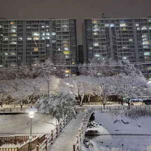 닭나무집 리뷰 사진