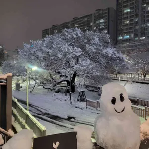 닭나무집 리뷰 사진