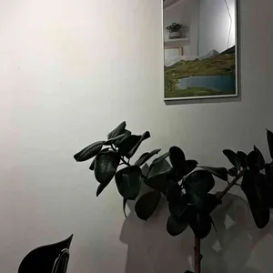 카페 마운틴 로스터스 리뷰 사진