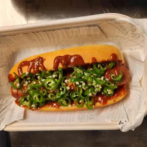 필리도그 대표 사진