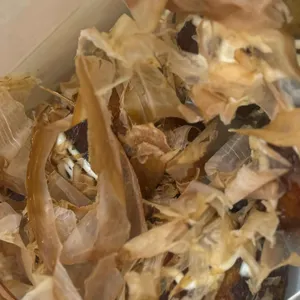 긴타코 대표 사진