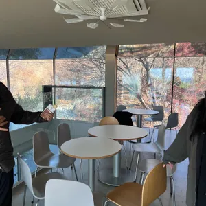 슬로우스톤 리뷰 사진