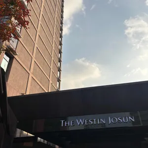 웨스틴조선호텔 서울 라운지앤바 대표 사진