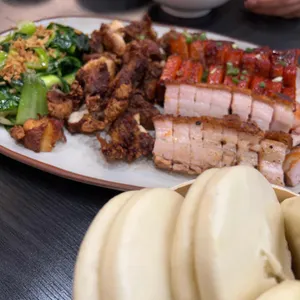 원 디그리 노스 사진