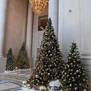 트웰브 리뷰 사진