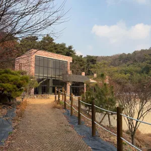 트리인 카페 대표 사진