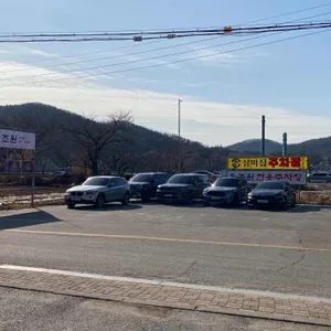 초원 리뷰 사진