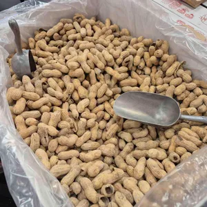 파이브가이즈 사진