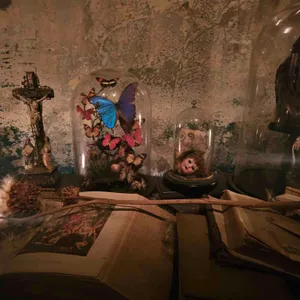 버드맨 리뷰 사진