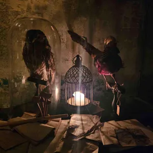 버드맨 리뷰 사진