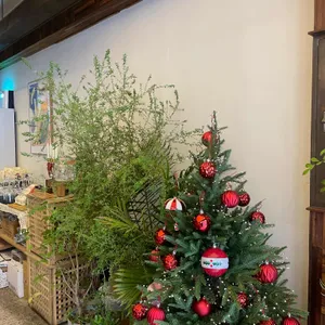 베르두레 리뷰 사진