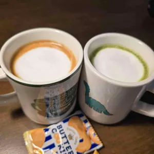 스몰해빛 대표 사진