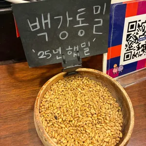 수더분 사진
