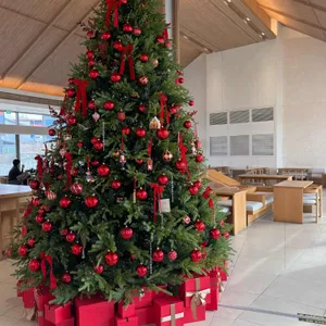 더웨이투커피 리뷰 사진