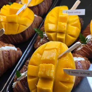 포레스트아웃팅스 사진