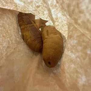 개두릅통밀빵 사진