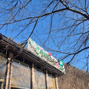 산야초본가식당 리뷰 사진