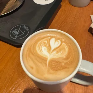 맥심플랜트 사진